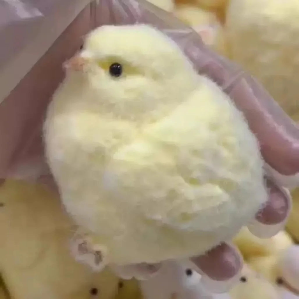 Office Stress Reliever: Funny 6CM Slow Rise Chicken Squishy, Cute Desk Fidget Toy for Adults, Anxiety Relief Gadget